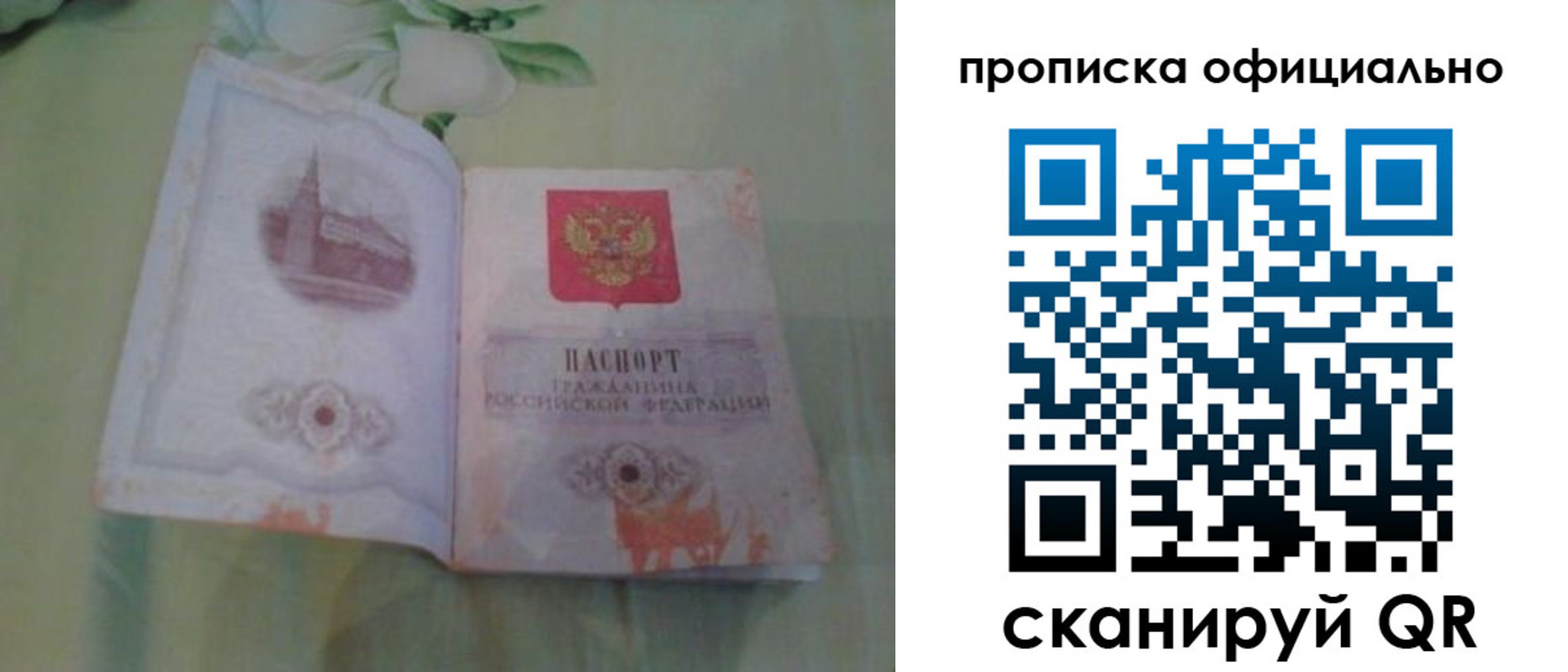 где прописаться в Мурманской области